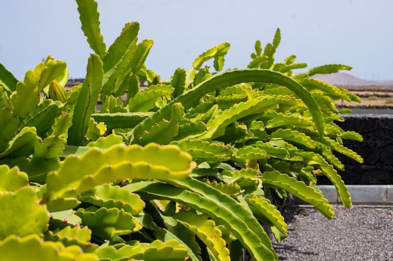 ホテル Eslanzarote Eco Dome Experience テギセ エクステリア 写真