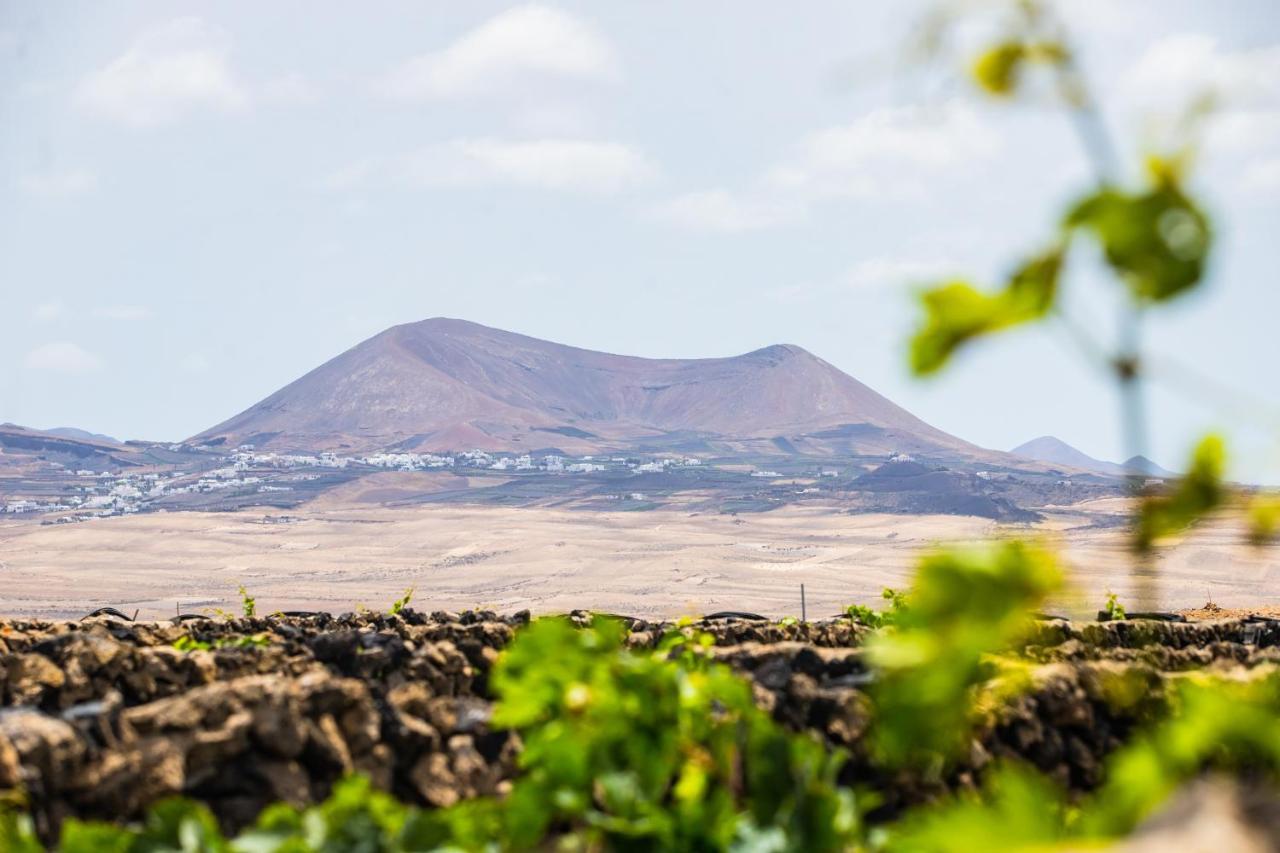 ホテル Eslanzarote Eco Dome Experience テギセ エクステリア 写真