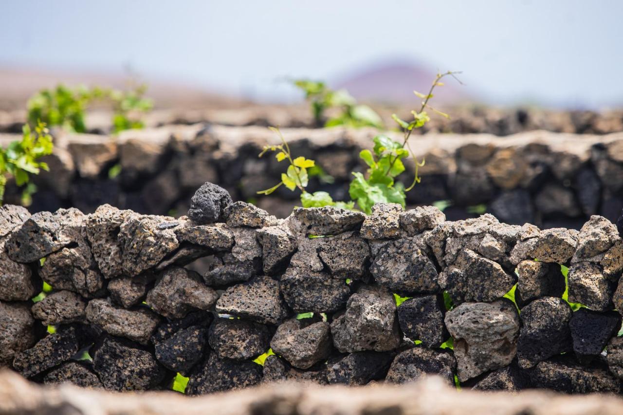 ホテル Eslanzarote Eco Dome Experience テギセ エクステリア 写真