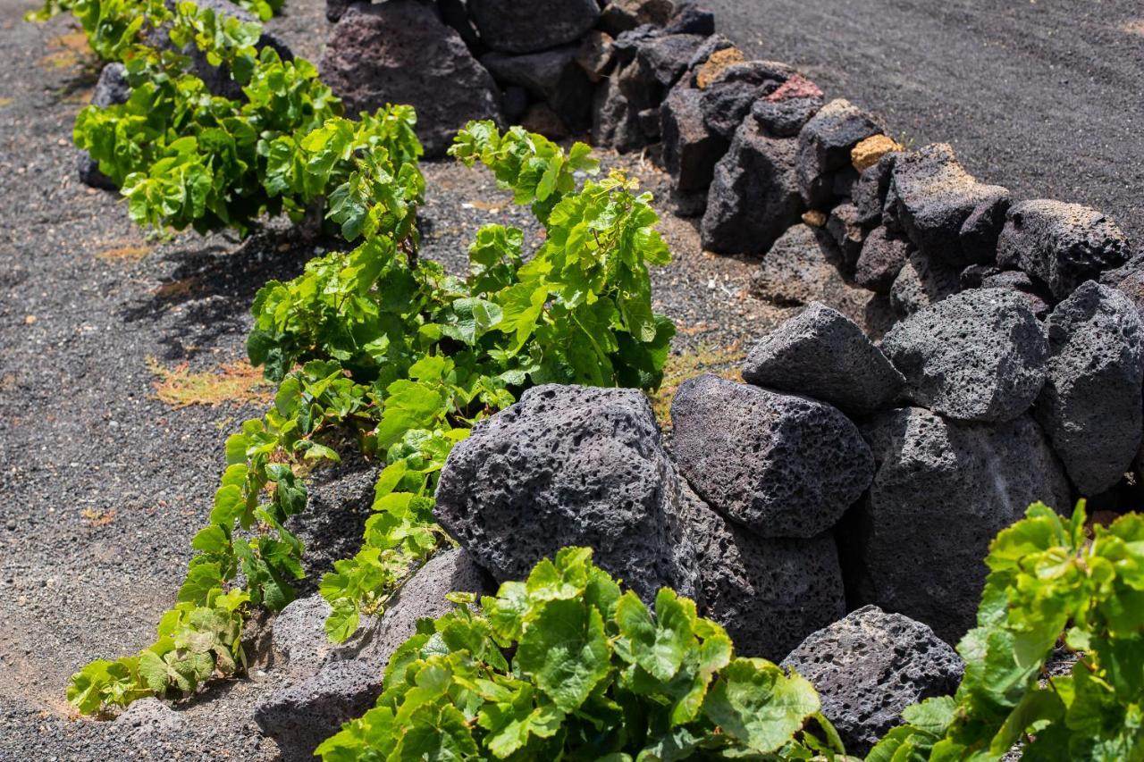 ホテル Eslanzarote Eco Dome Experience テギセ エクステリア 写真